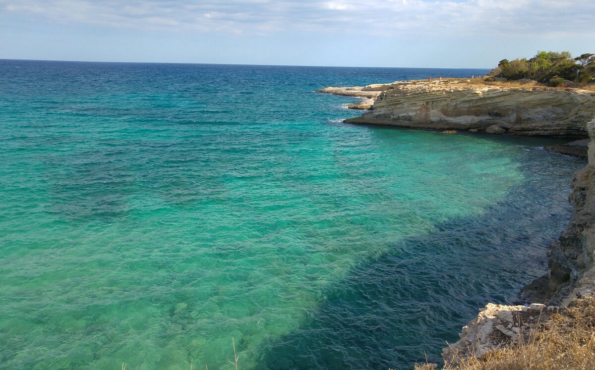 🏖️ 젤소미네토 오아시스(오아시 젤소미네토)